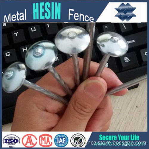 Galvanized Roofing Nails With Umbrella Head ( Direct Factory!)
